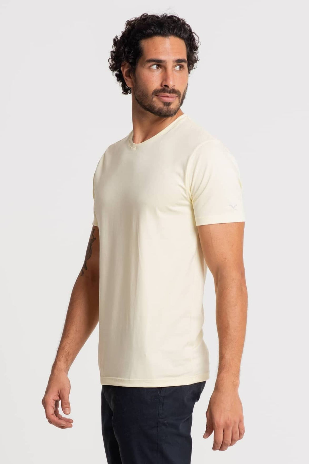 Camiseta Algodão Pima Masculina Gola V